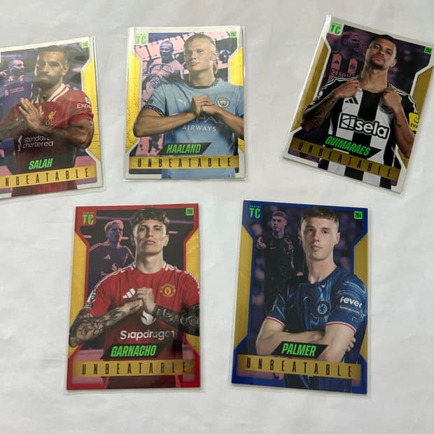 파니니 축구 카드