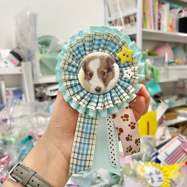 쭈굴강쥐 로제트 🐶