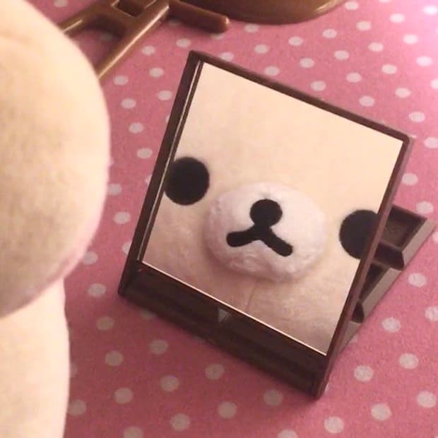 베스트 구매창🤎