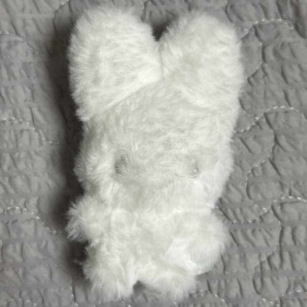 지초이 지토 jito