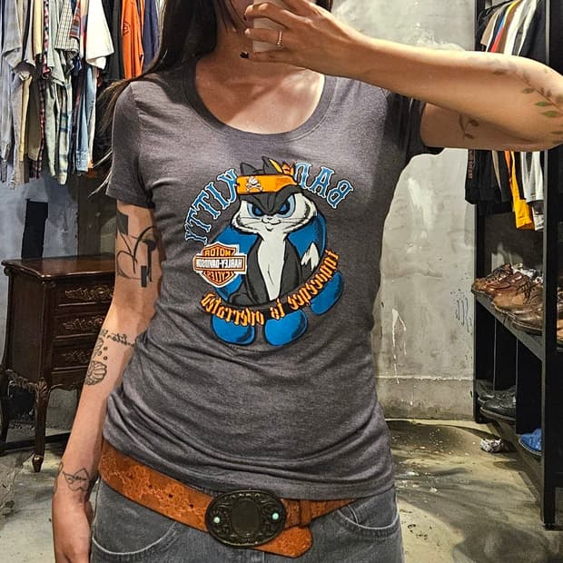 Harley Davidson - Looney Tunes