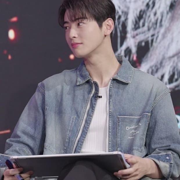 급처!!) 차은우가 입은 디올 청자켓 52 실착5회미만