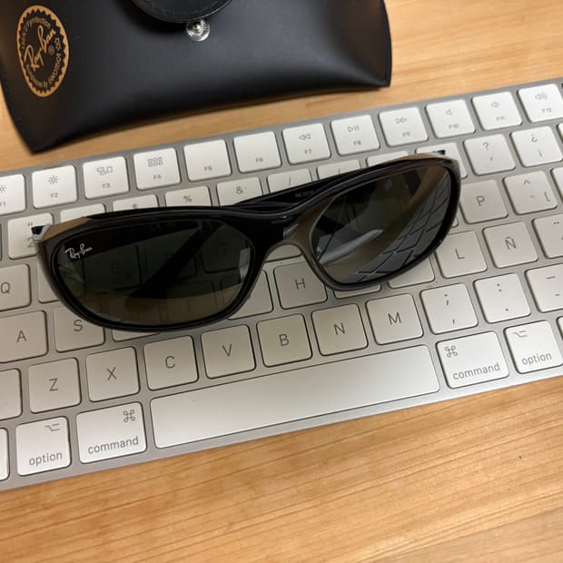 레이벤 데디오 rb2016 