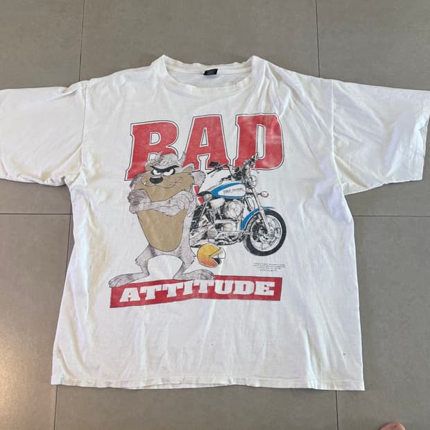 90‘s 빈티지 Harley Davisdon Looney tunes 