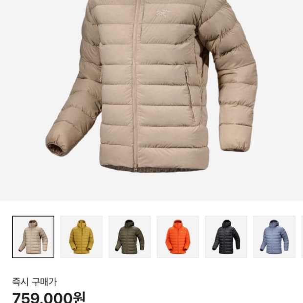 아크테릭스 토륨 스모크 블러프 XL