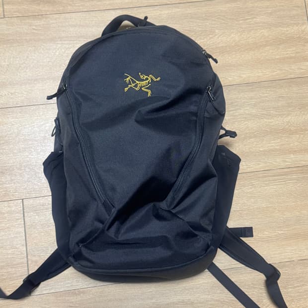 아크테릭스 맨티스 26