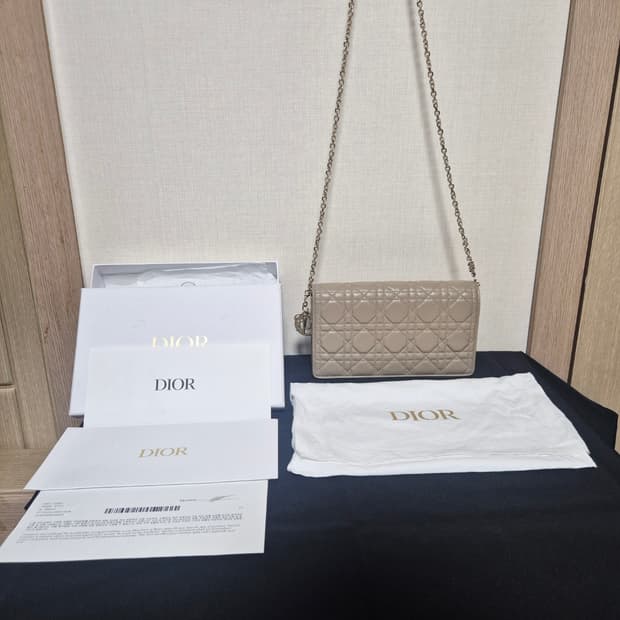 디올 까나쥬 체인백