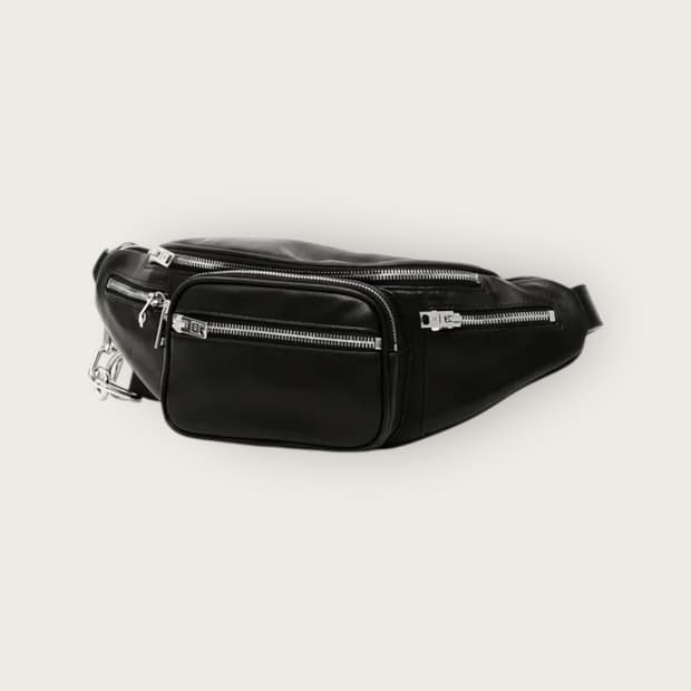 알렉산더왕 패니 레더 벨트백