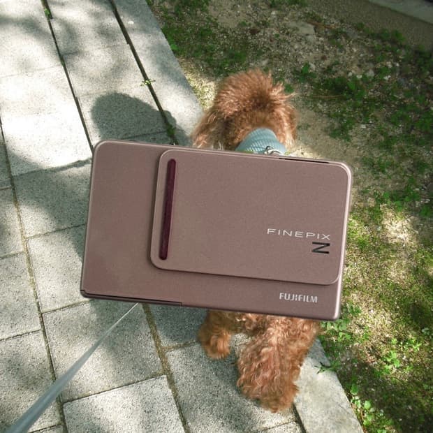 일주일만 할인! 작례 극미품!) 후지필름 파인픽스 z300 빈티지 카메라