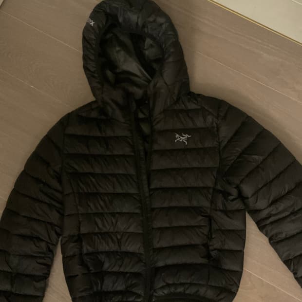 빈티지 아크테릭스 경