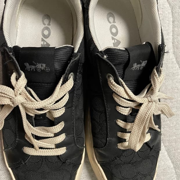 Coach 남성신발 250
