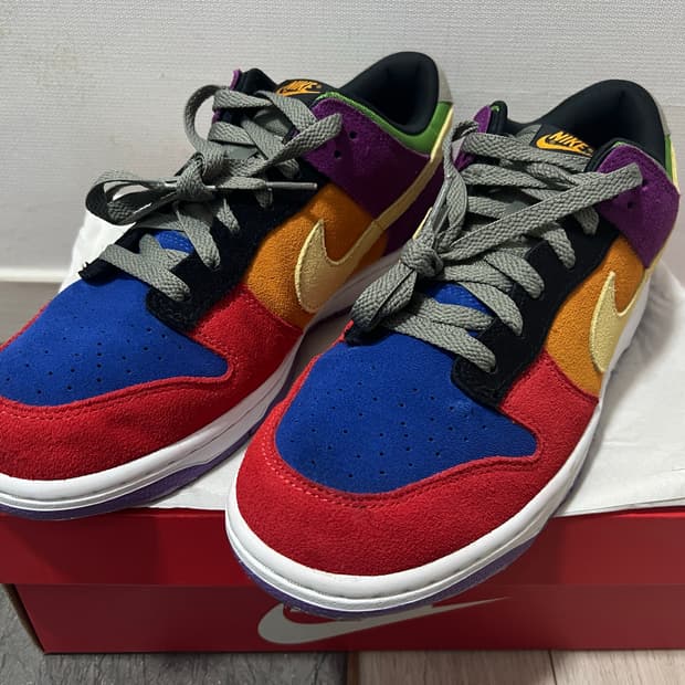 나이키 덩크 로우 바이오테크 레인보우(280)