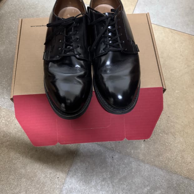 레드윙 포스트맨 9.5D(275)