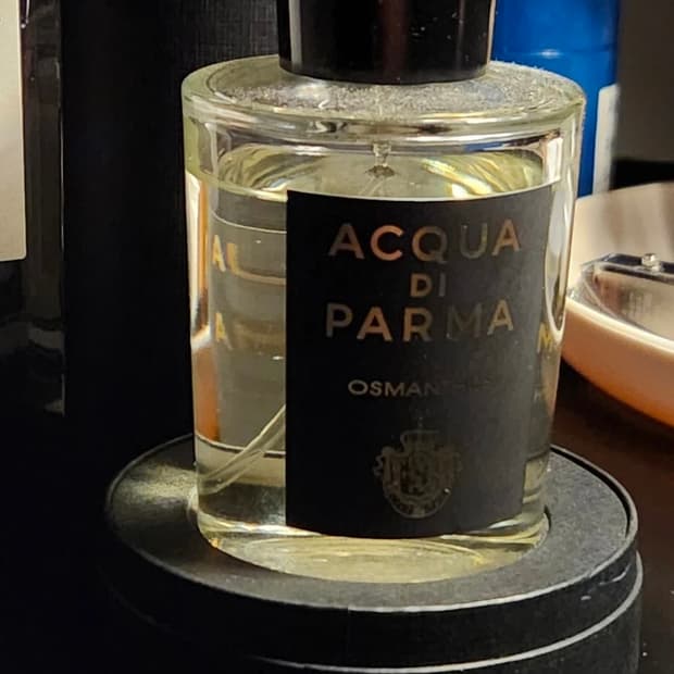 아쿠아 디 파르마 _ 오스만투스100ml