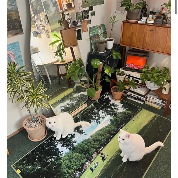 플러피아카이브 러그