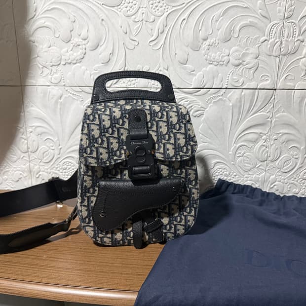 디올 오블리크 갤럽 슬링백