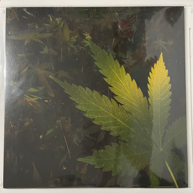 BIIL STAX(빌스택스) DETOX LP