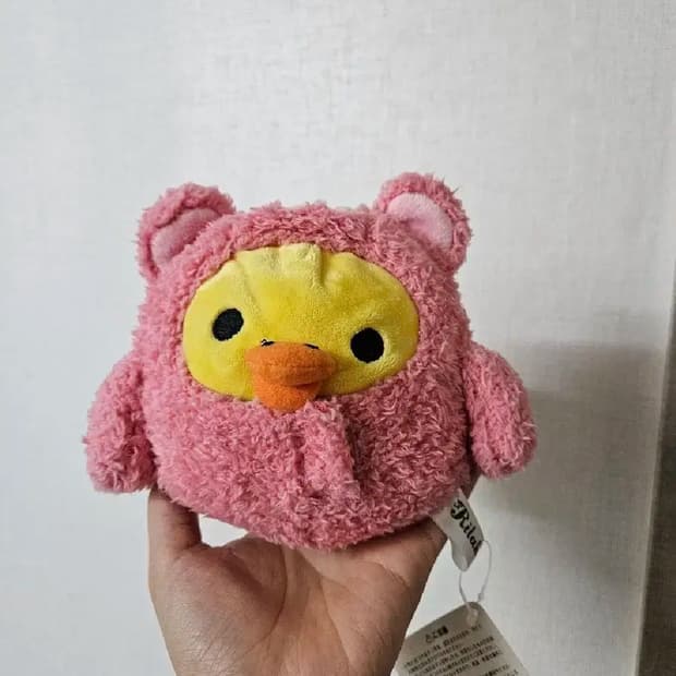 포로리 키이토리