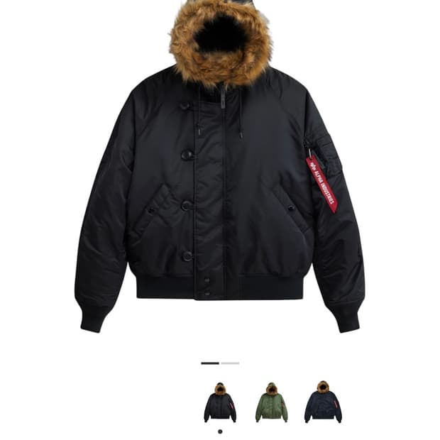 알파인더스트리 n2b (L)