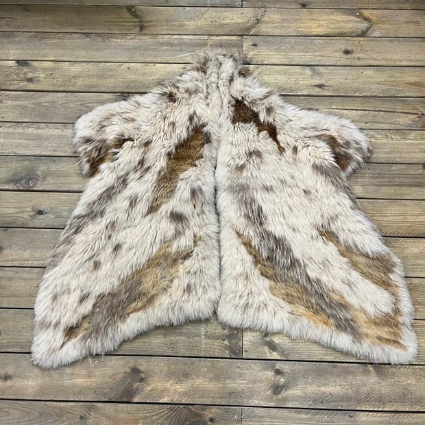 빈티지 폭스 라쿤 