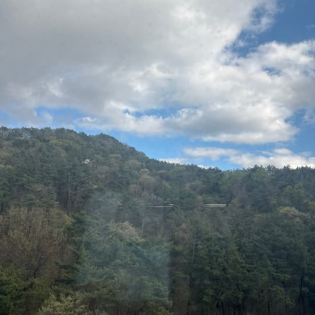 몽벨 예약 그린+네이비