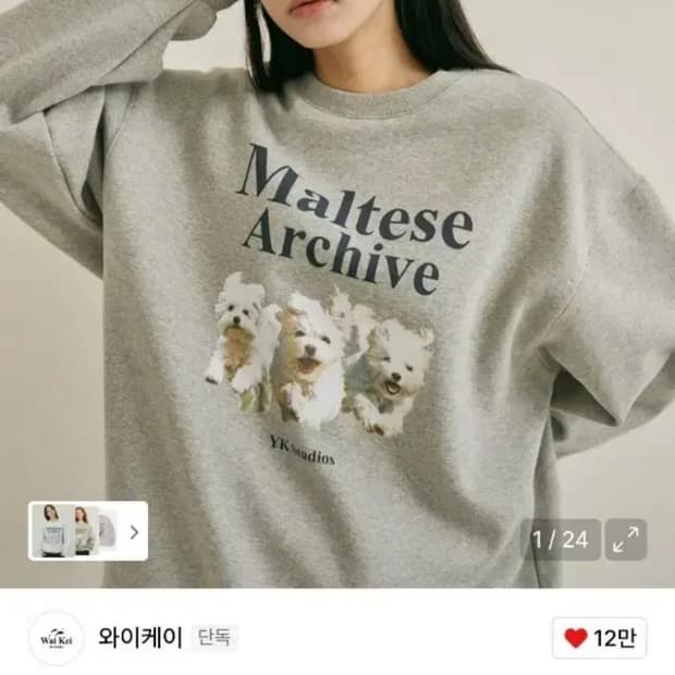 와이케이 말티즈 아카이브 기모 맨투맨 그레이 (2사이즈)