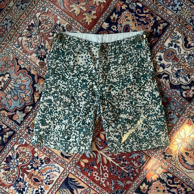 🌊Carhartt aviation shorts