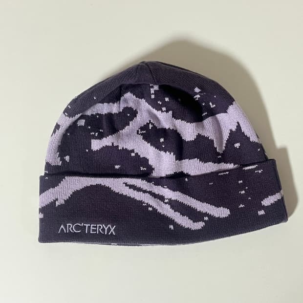 아크테릭스 비니 (보라)