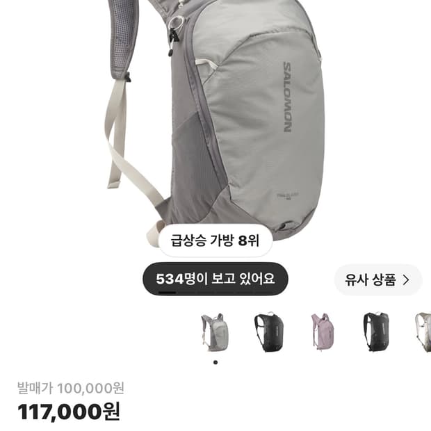 살로몬 트레일블레이저 10 그레이