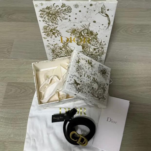 디올 새들 벨트 패브릭