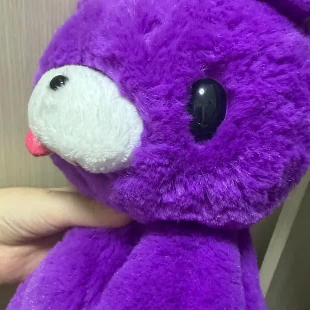보라 글루미베어 인형