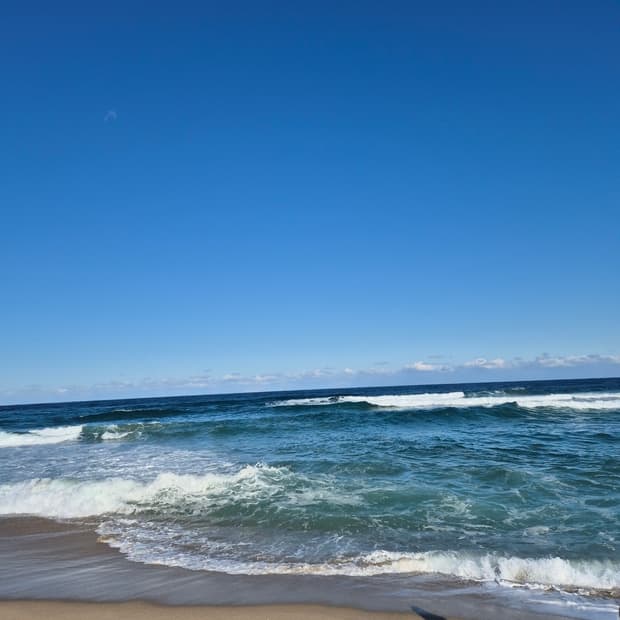 세일 마지막날 입니다!!!!!