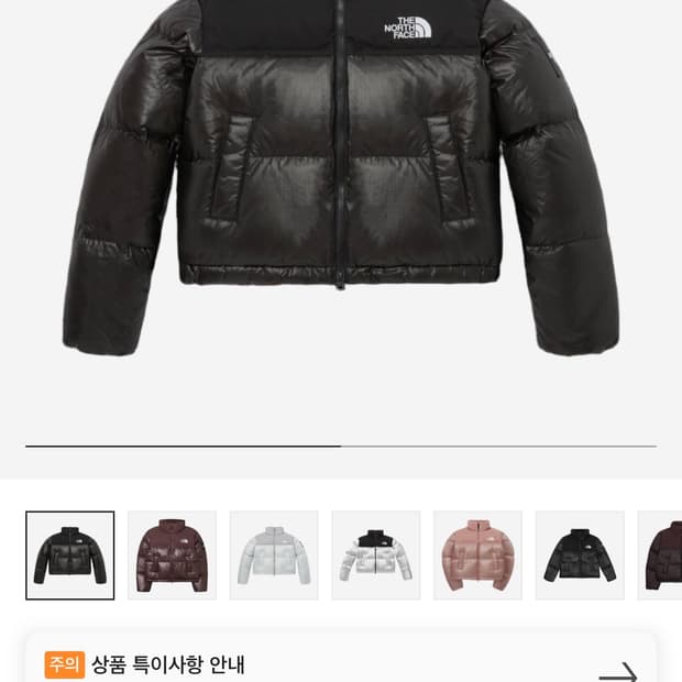 노스페이스 눕시 다운 자켓