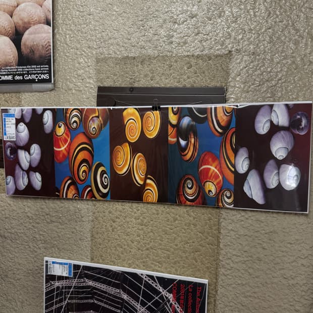 Comme des garcons 1999 shell 꼼데가르송 포스터