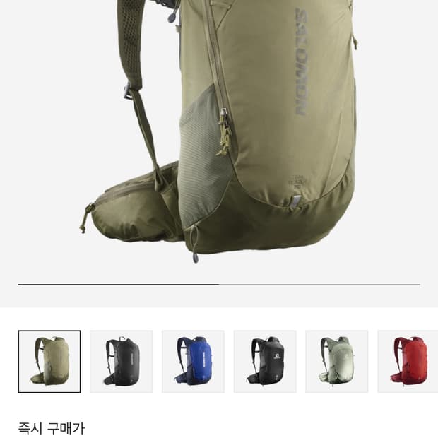 살로몬 트레일블레이저 20L 올리브