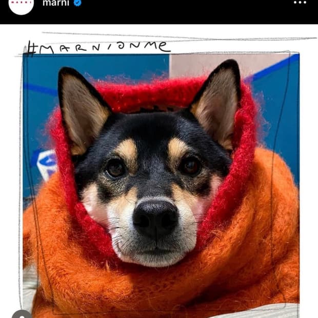 마르니 키드모헤어 니트