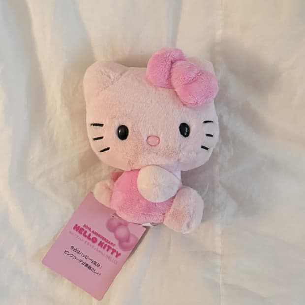 산리오 헬로키티 50주년 애니버서리 핑크키티