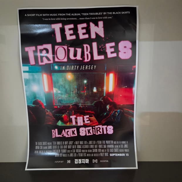 검정치마 포스터 팝니다