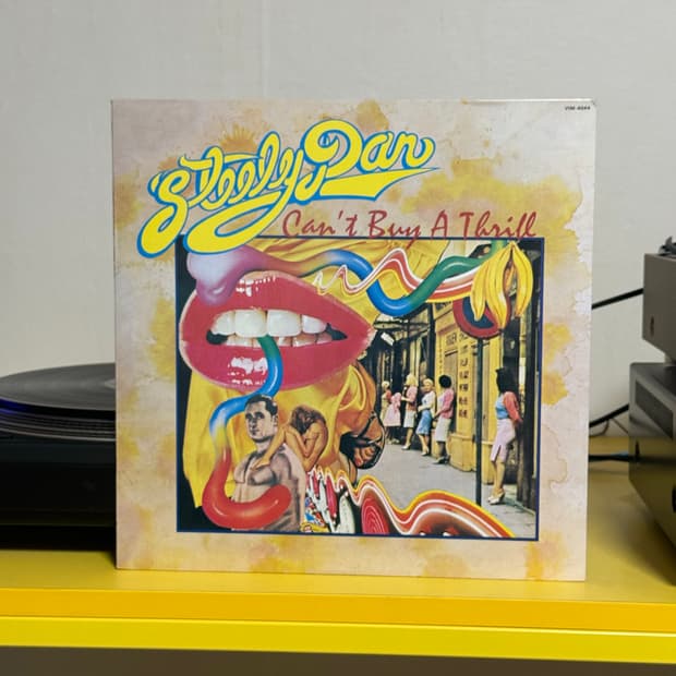 [AOR, Rock] Steely Dan ‎(스틸리댄) LP 판매해요