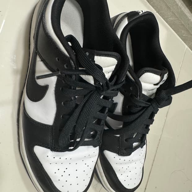 나이키 범고래 260