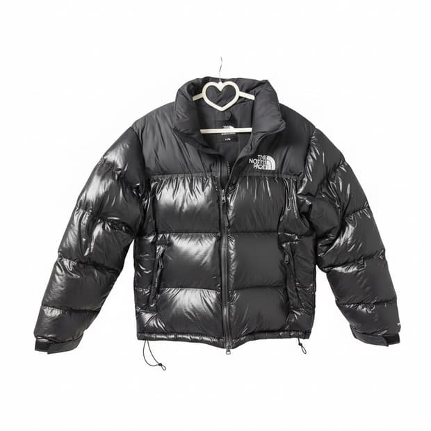 The north face 1966 에코눕시 자켓 리얼 블랙