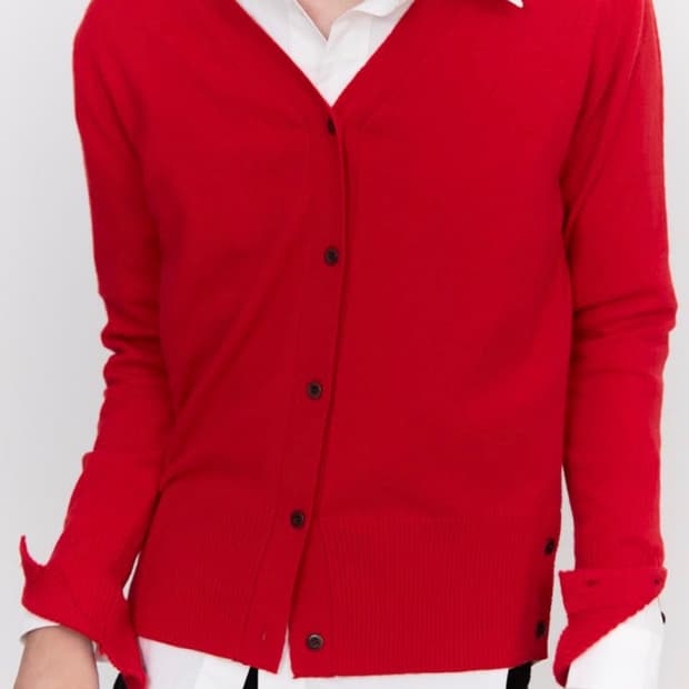 블루 선플라워 버튼 브이넥 가디건 레드