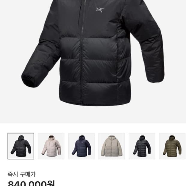 아크테릭스 토륨 SV 후디 L