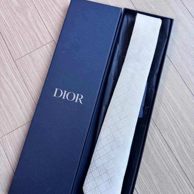 DIOR 디올 화이트 실크 까나쥬 넥타이