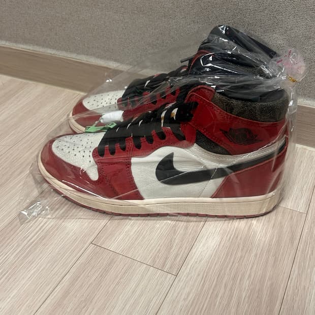 시카고 조던 2022