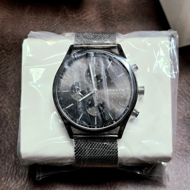 스카겐(SKAGEN) skw6608 홀스트 크로노그래프 차콜 메쉬