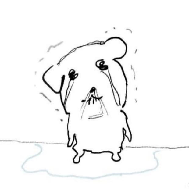 sony hdr-cx120 캠코더 삽니다