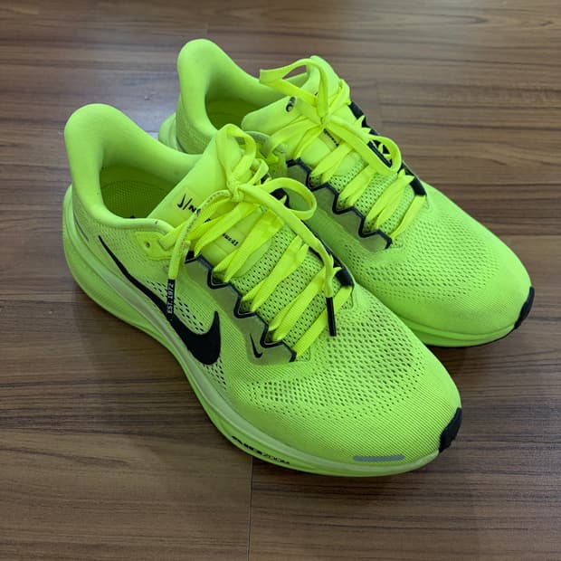 나이키 페가수스 41 형광 240