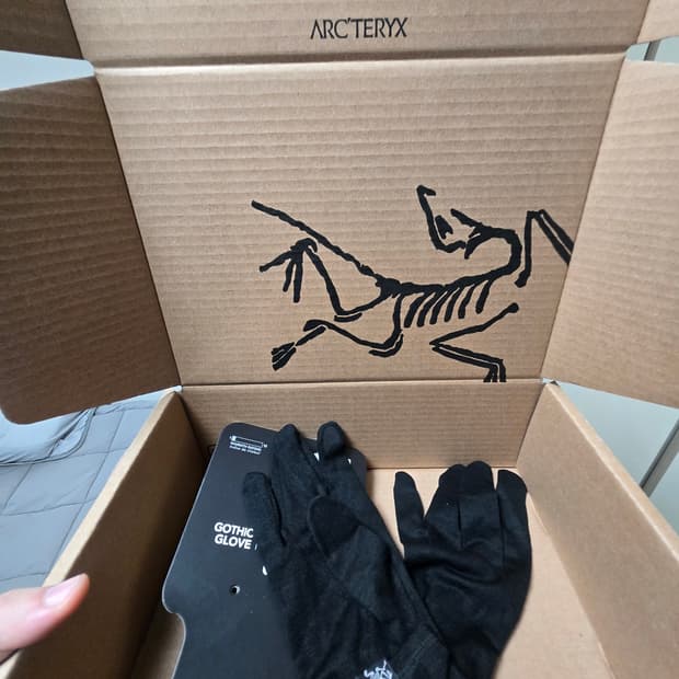 아크테릭스 고딕 글러브