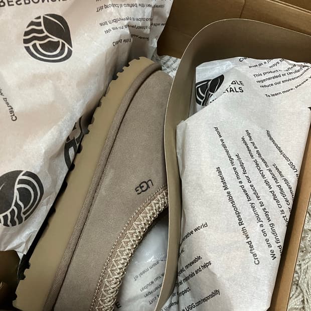 미국 어그 타스만 230 새상품